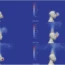 3D modelling and simulation of thermal effects and dispersion of particles carrying infectious respiratory agents in a railway transport coach